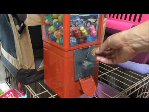 最終値下げ コスモス 20円ガチャ 2台セット レトロ ガチャガチャ筐体