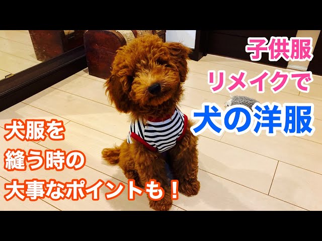 How to make dog clothes] Repurpose children's clothes for a cheap