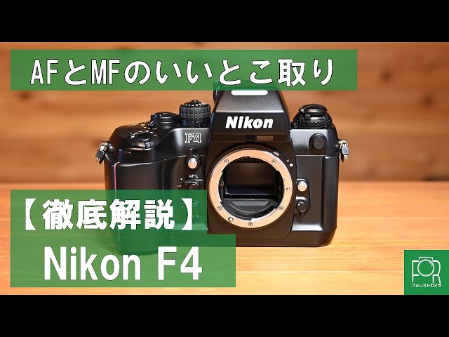 Glamorous Body] A camera specialty store thoroughly explains the