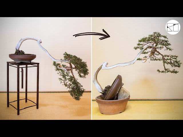 紀山 盆栽鉢 懸崖鉢 紀山 盆栽鉢 懸崖鉢 懸崖・下方の鉢