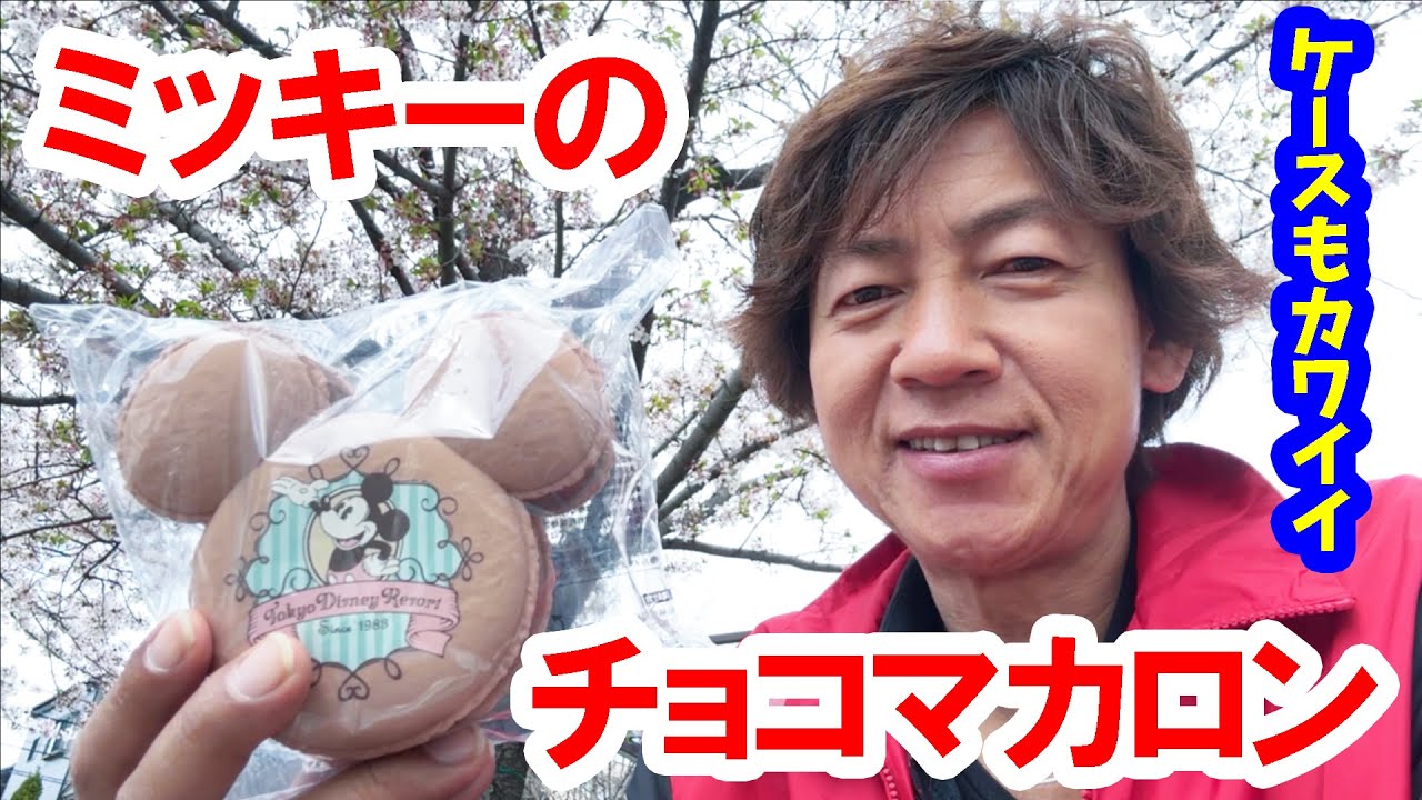 I tried it: Mickey's chocolate macaroons with souvenir case (2024