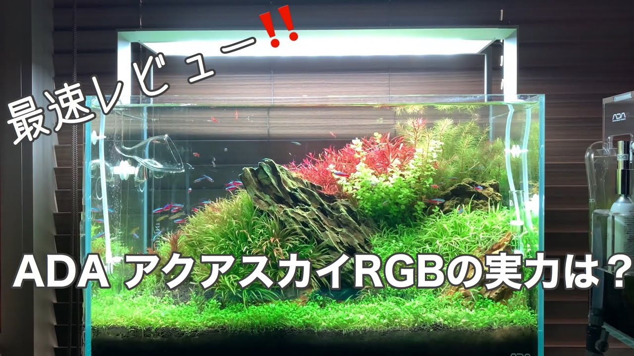 ADAアクアスカイ602☆即決送料無料☆中古美品です☆