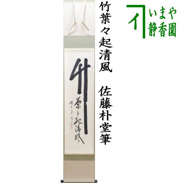 K茶道具 掛軸 松樹千年翠 松尾流十代不染斎筆、葆光斎書付 共箱紙箱