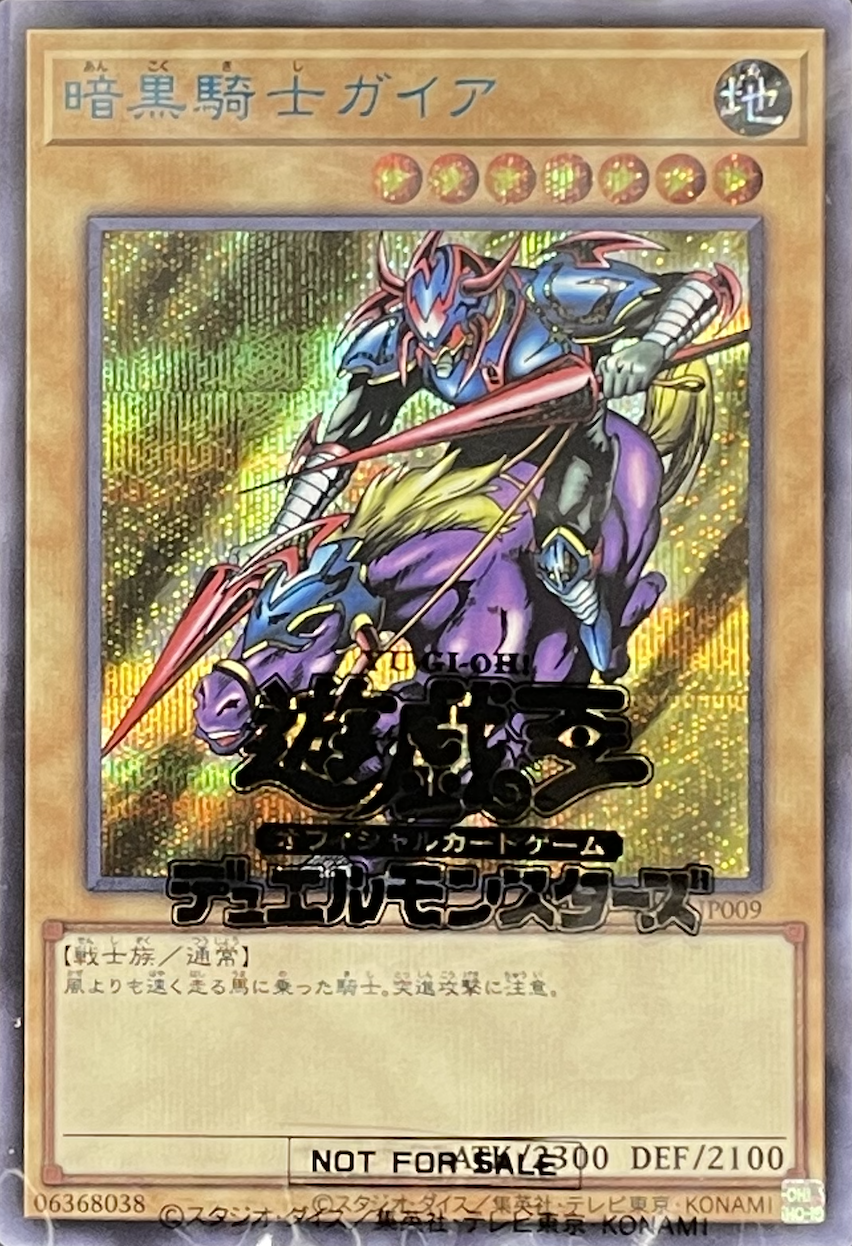竜騎士ガイア レリーフ 専用遊戯王 竜騎士ガイア レリーフ
