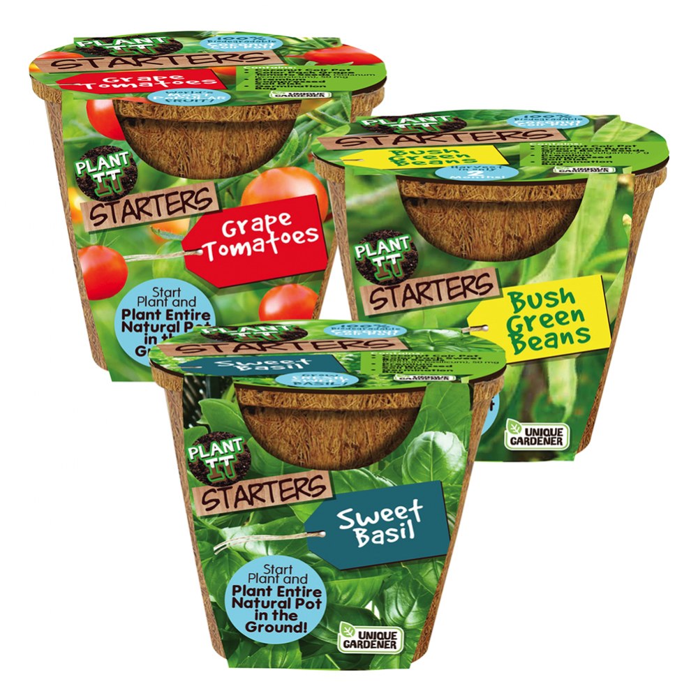 ハシヅメユウヤ so bubble girl ED50 3色セット そーばぶる Amazon.co