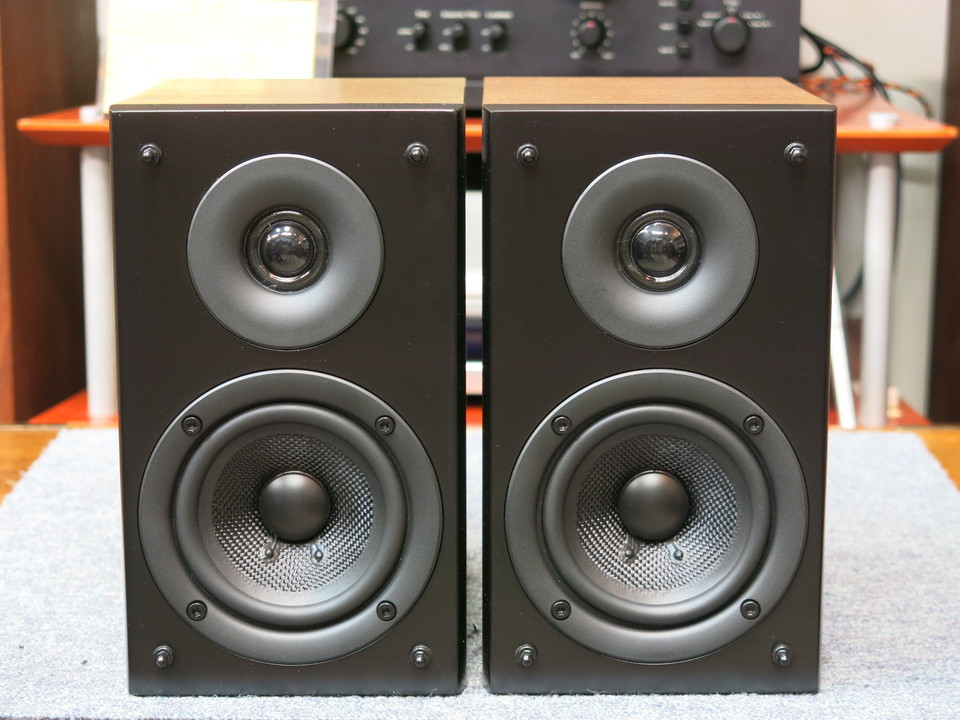 Pioneer パイオニア S-CN301-LR スピーカー ペア Pioneer (パイオニア