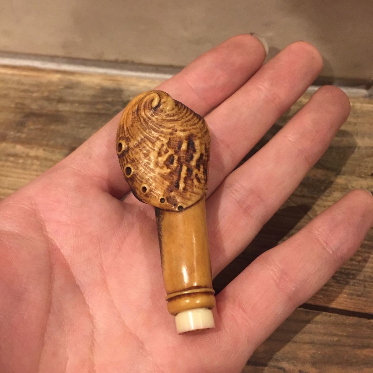 根付 角？ 骨？ 貝？