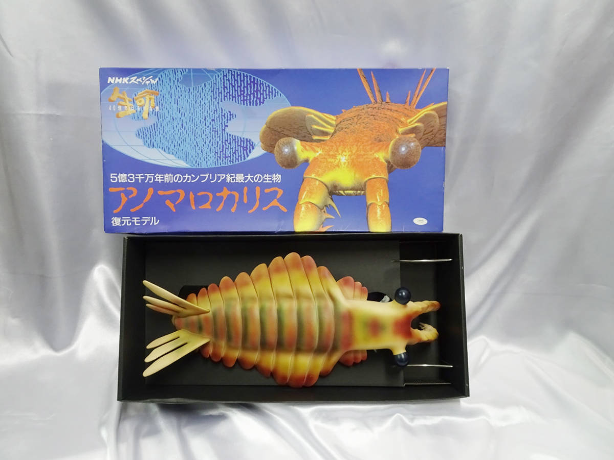 カンブリア紀 アノマロカリス フィギュア 化石 復元モデル NHK