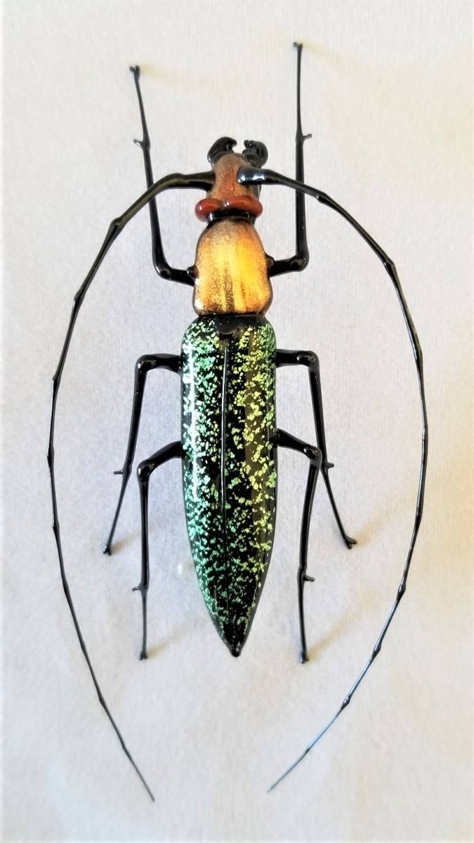 ベネチアングラスカエルヴィットリオ・コスタンティーニ