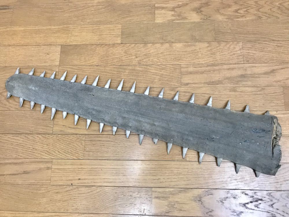 ノコギリエイ 吻 角 牙 標本 剥製 ノコギリザメ 大型107センチ