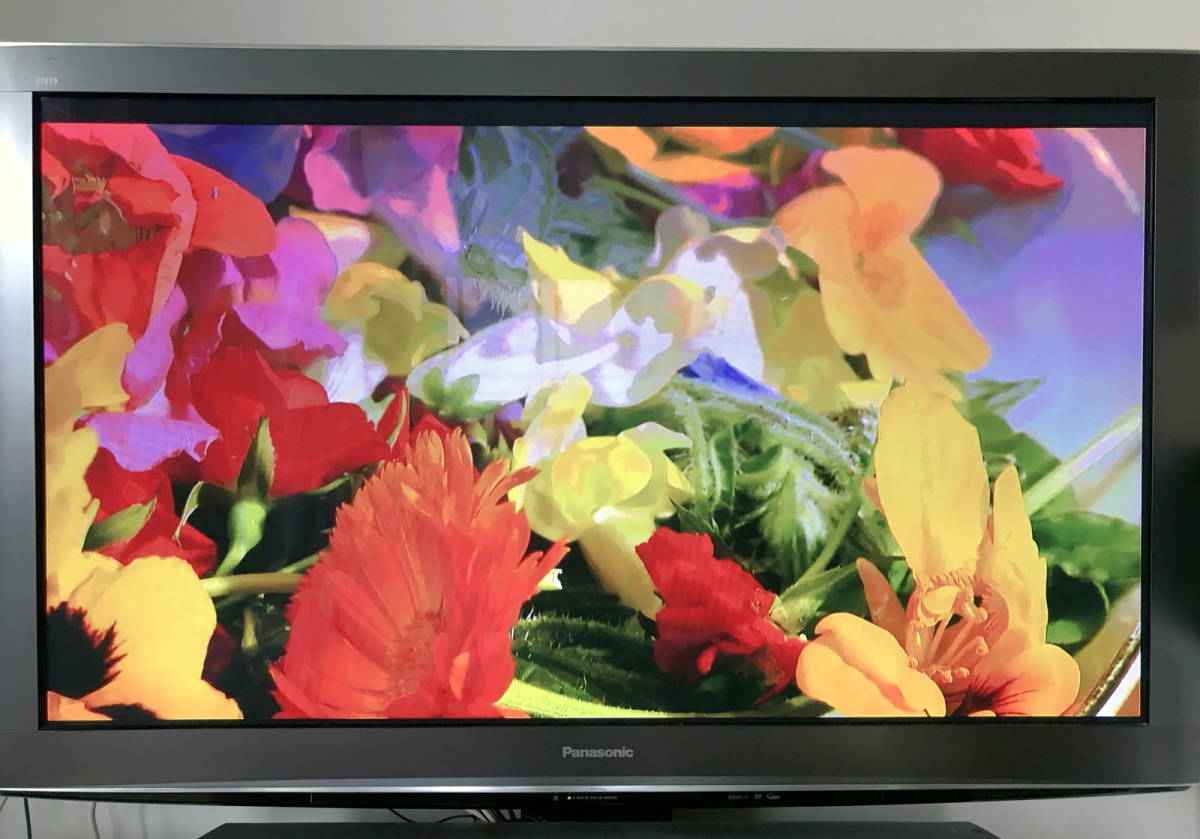 毎日500円値下げ】 50インチPanasonicTH-50C300 テレビ 毎日500円