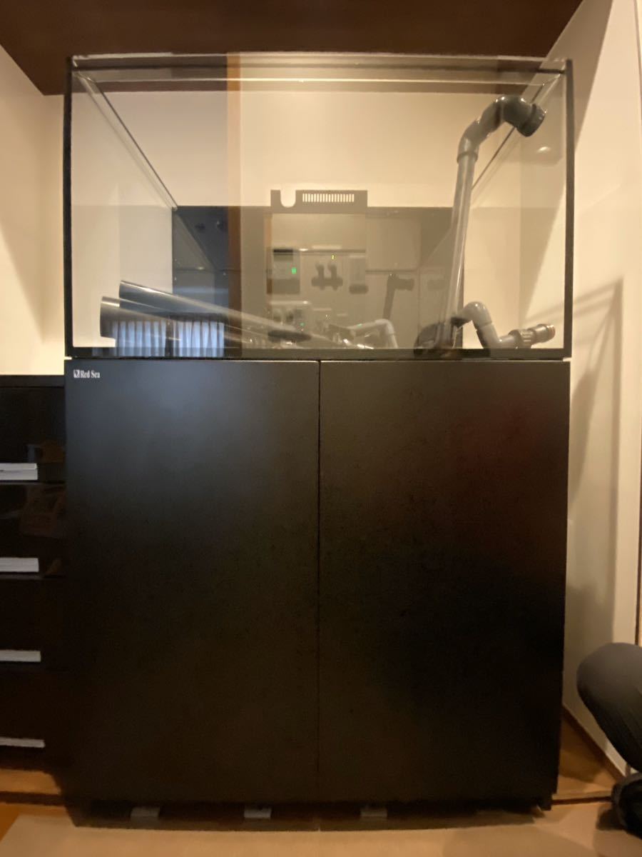 専用】 レッドシーリーファー250 redsea ○水無月さん限定○レッド