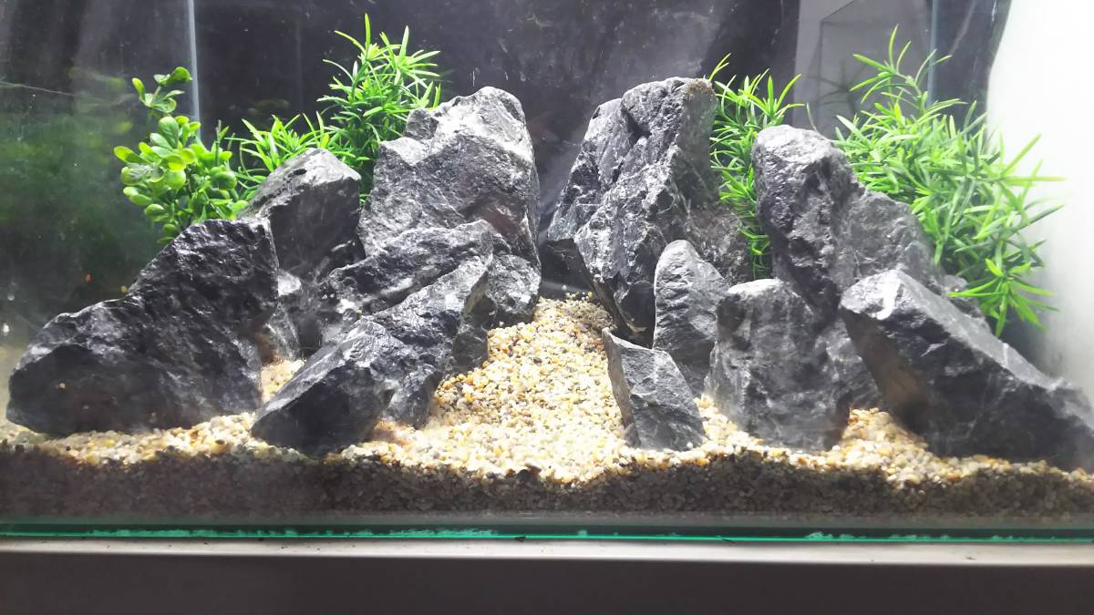 2[新品]ADA 龍王石6.5キロ☆水槽 レイアウト 清流石 青龍石 親石