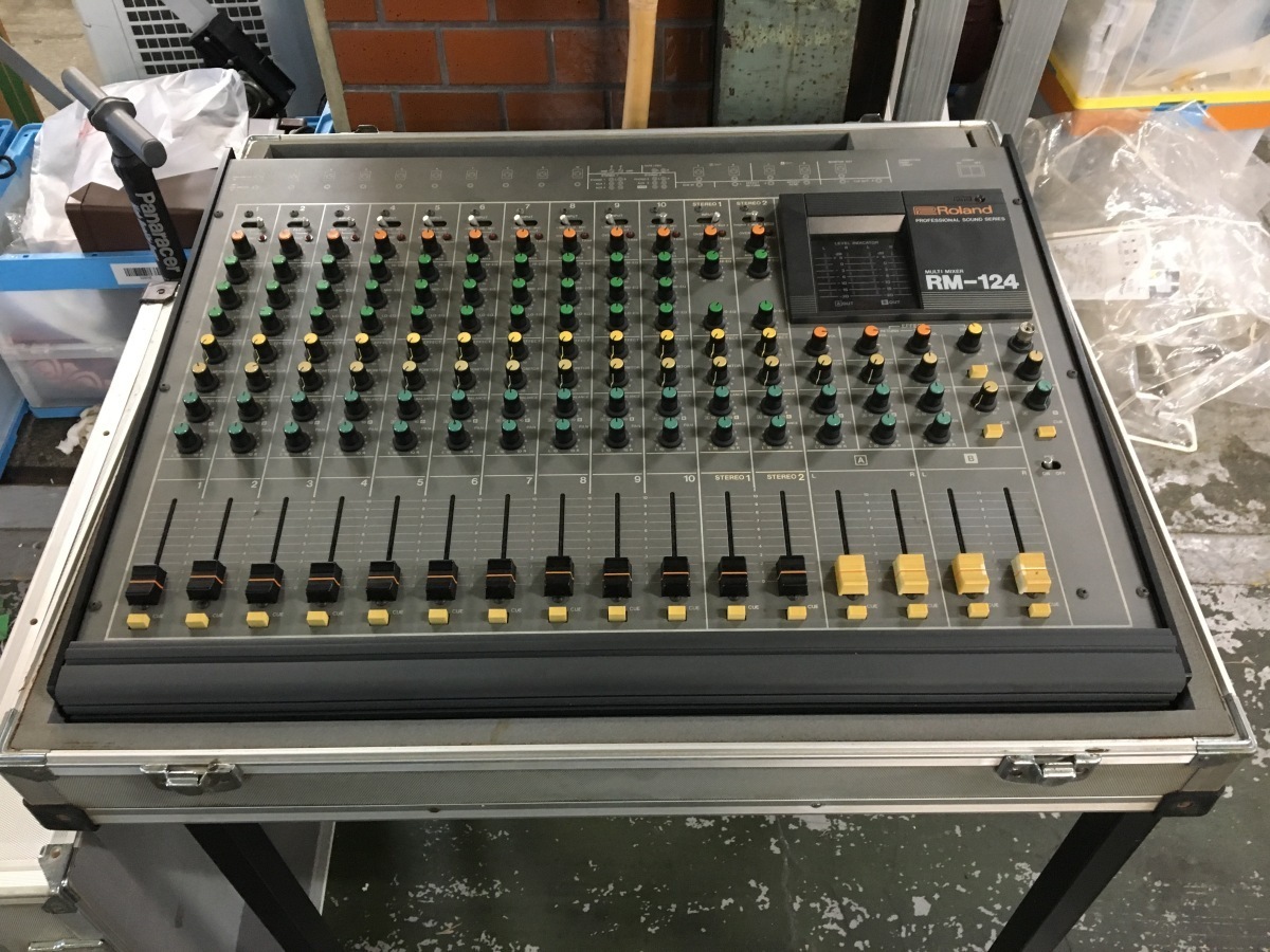 Roland RM-124 Professional Sound Series Multi Mixer | Reverb Canada