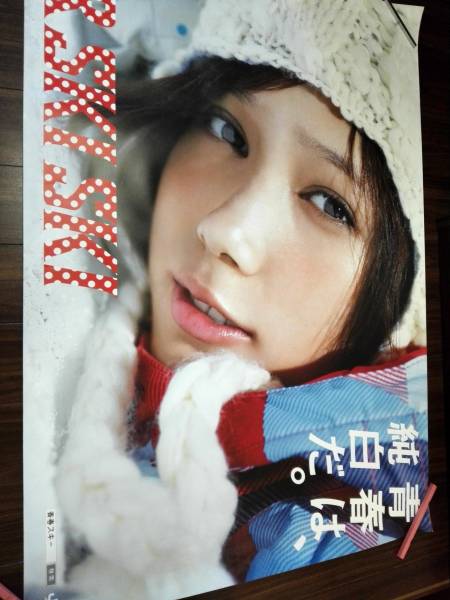 JR SKI×SKI 本田翼 ポスター 非売品 限定 B0 本田翼 JR SKI SKI ポスター