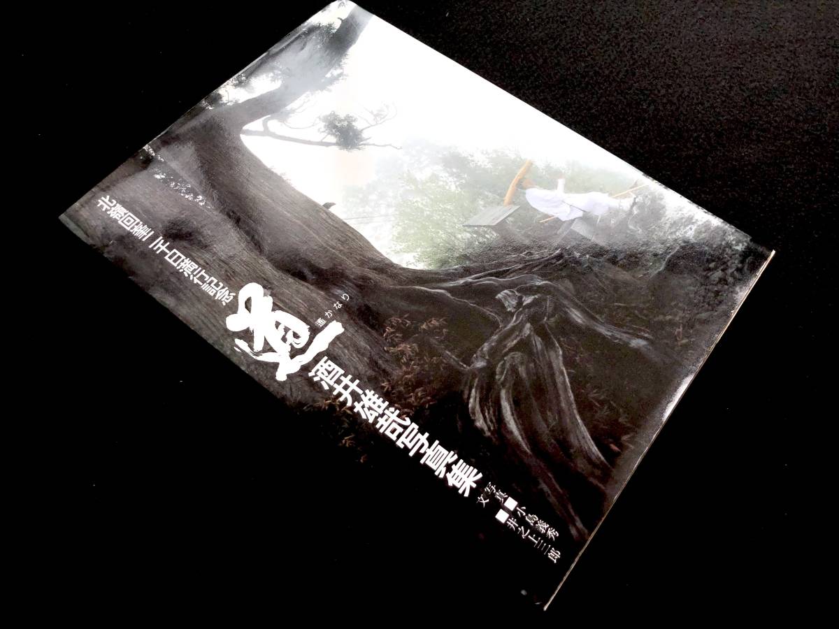 比叡山ニ千日回峰行者酒井雄哉師の書(掛軸)無心大道帰