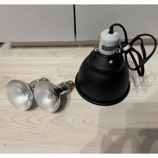 GEX - グラスハーモニー600 ほぼ未使用の通販 by ヒーサン's shop