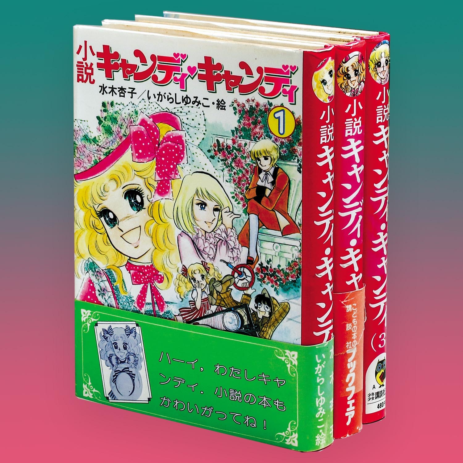 小説キャンディキャンディ上下巻(初版) 小説キャンディ・キャンディ