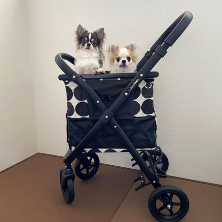 ゴーウォーカー (口コミ・レビュー) | 犬グッズ 通販 イヌトゴ | 犬