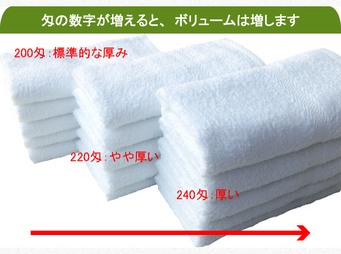 240匁国産泉州ソフト白タオル【総パイル】：12枚組|業務用タオル専門店