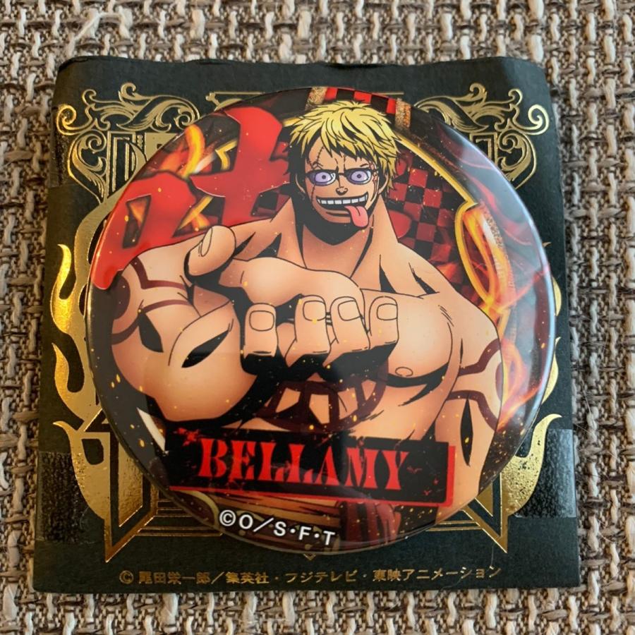 13.ミートザワンピース ミニ 缶バッジ ONE PIECE 13.ミートザ