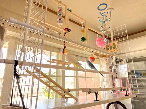 ことりのおおきなあそびば 文鳥 インコ バードジム バードアスレチック