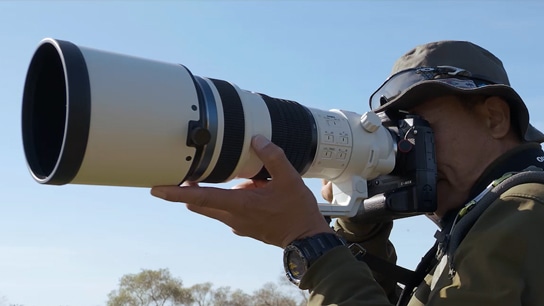 M.ZUIKO DIGITAL レンズ おすすめ情報 | デジタル一眼カメラ