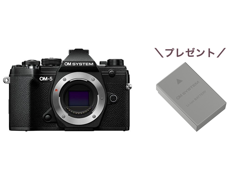 OLYMPUS コンパクトフィルムカメラ E.Zuikoレンズ ストラップ付き