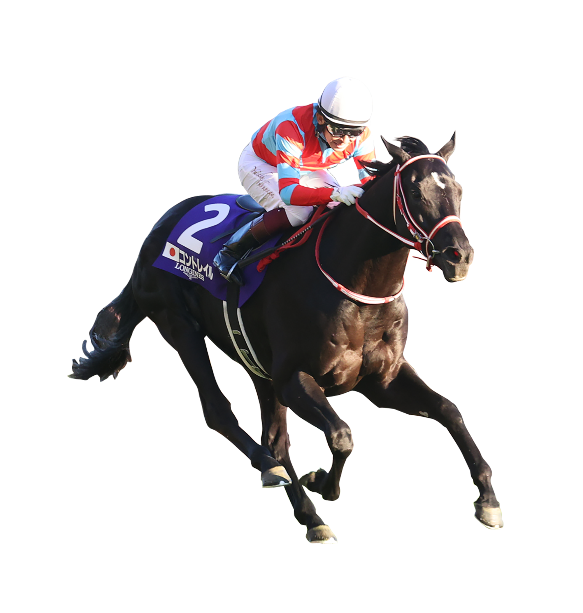 JRA 武豊 4000勝記念クリアファイルセット 【公式通販】