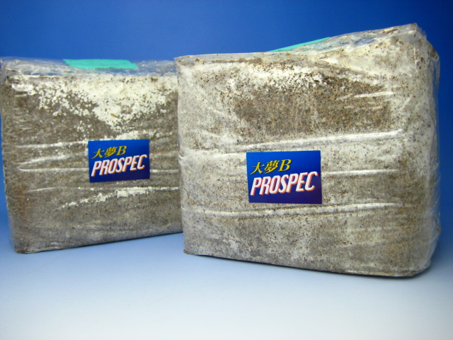 大夢PROSPEC菌糸瓶の販売