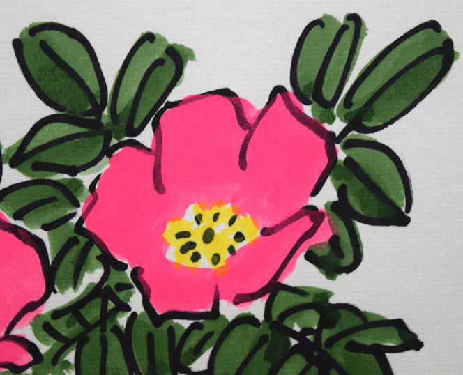 坂本直行「はまなし」水彩画・色紙 絵画買取・販売の小竹美術