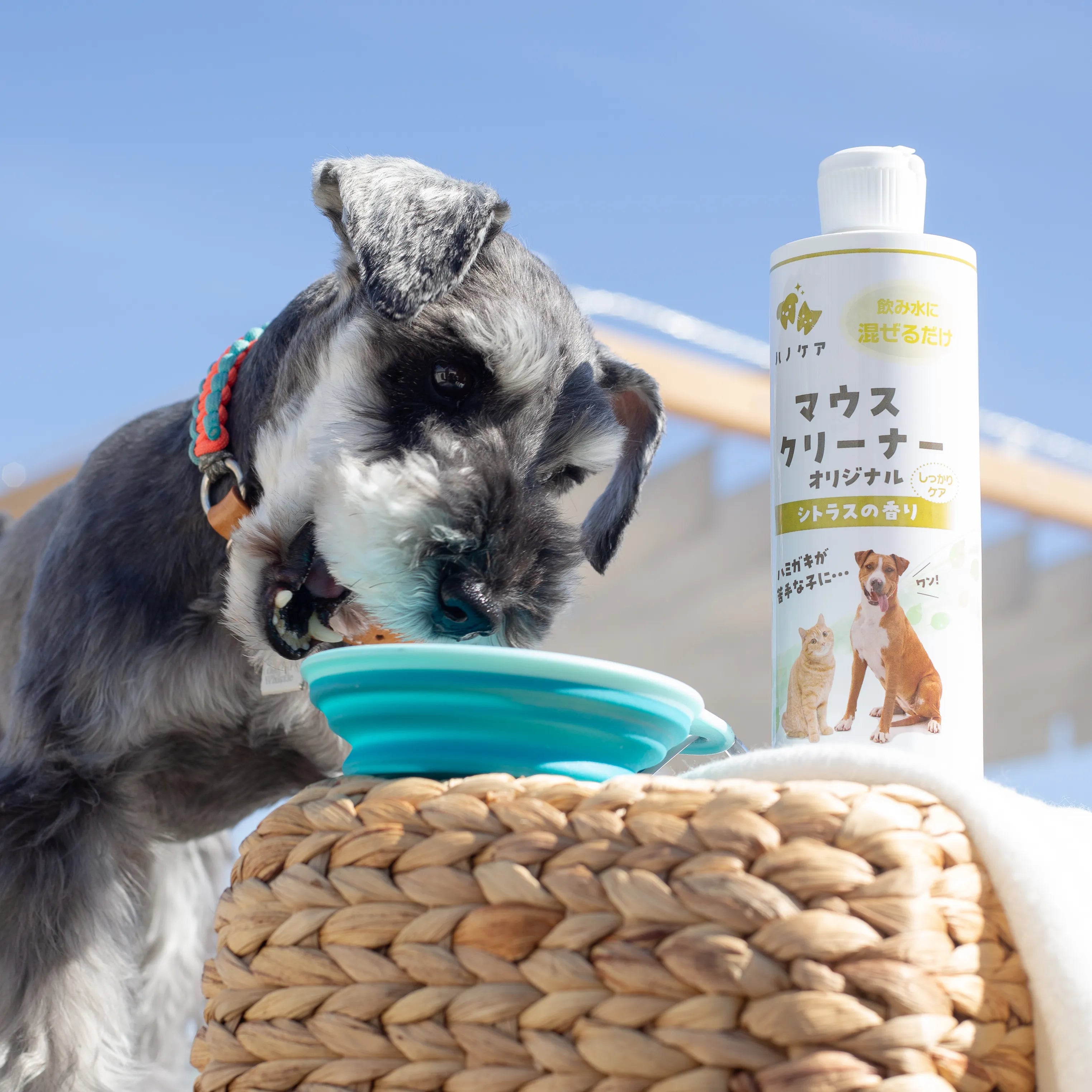 ハノケア マウスクリーナー オリジナル 118/237/473ml （旧KPSマウス