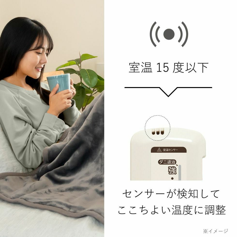 販売終了】ラビットファー調電気掛敷毛布188×120cmKDK-75241R