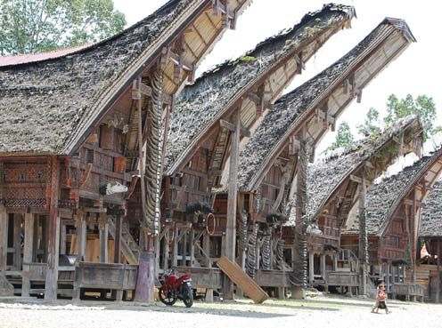 インドネシア スラウェシ島 トラジャ族のイカット2