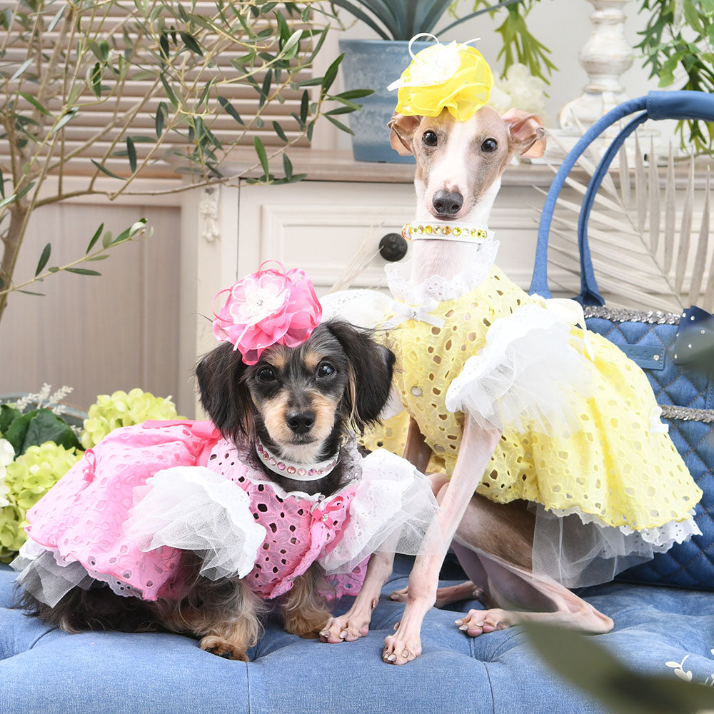 SALE30%OFF】リラワンピース – Luxebirdie