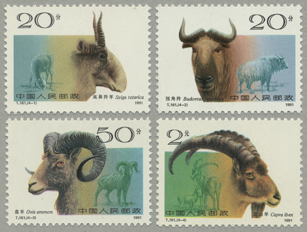 3029 外国切手 オーストラリア 1991年 犬 猫 動物 4種完 3029 外国切手