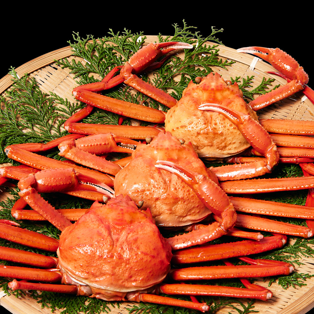 カニ通販は蟹専門店マルツ | 鳥取のかにを産地直送でお届け – 蟹専門店