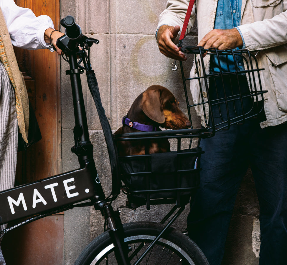 MATE. BASE BASKET – MATE.BIKE JAPAN