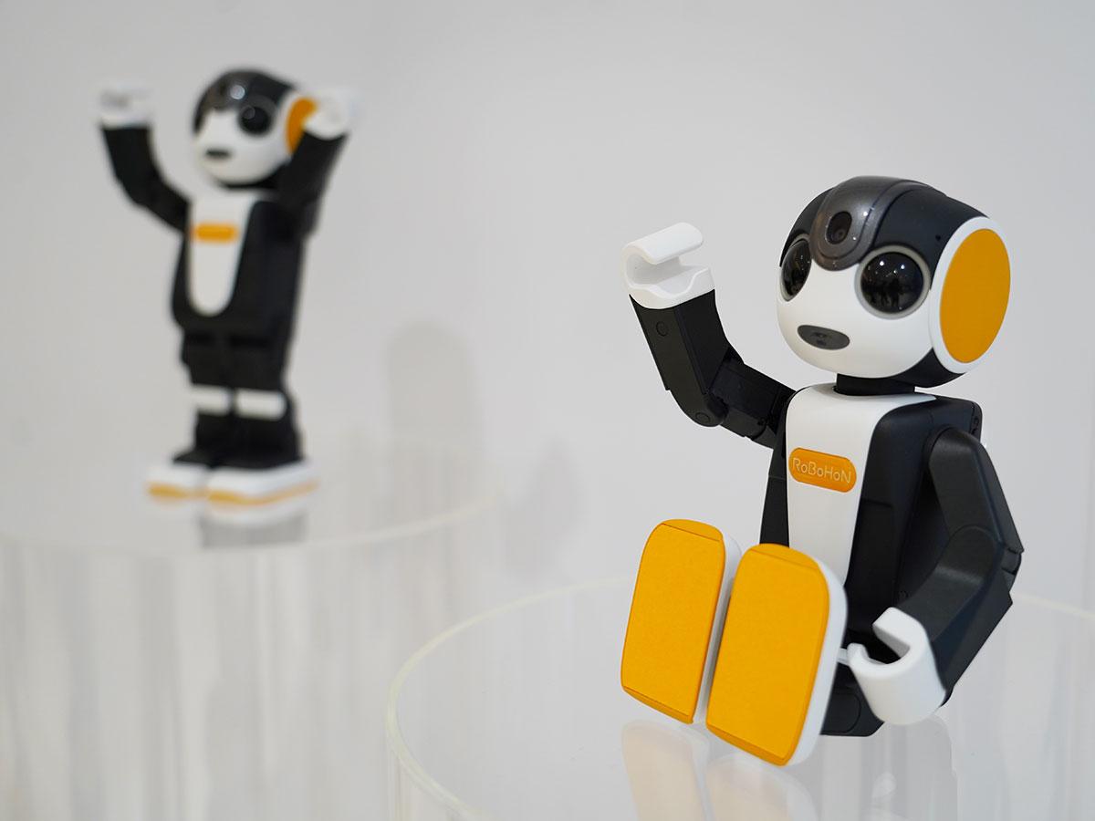 シャープの新型ロボホン「2020年度末までに3万台」、家族・法人向けに