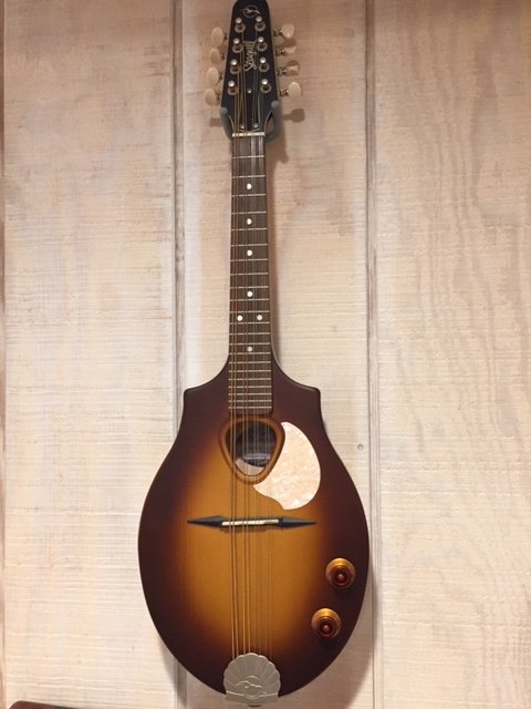 Seagull S8 マンドリン ハードケース付き Seagull S8 マンドリン