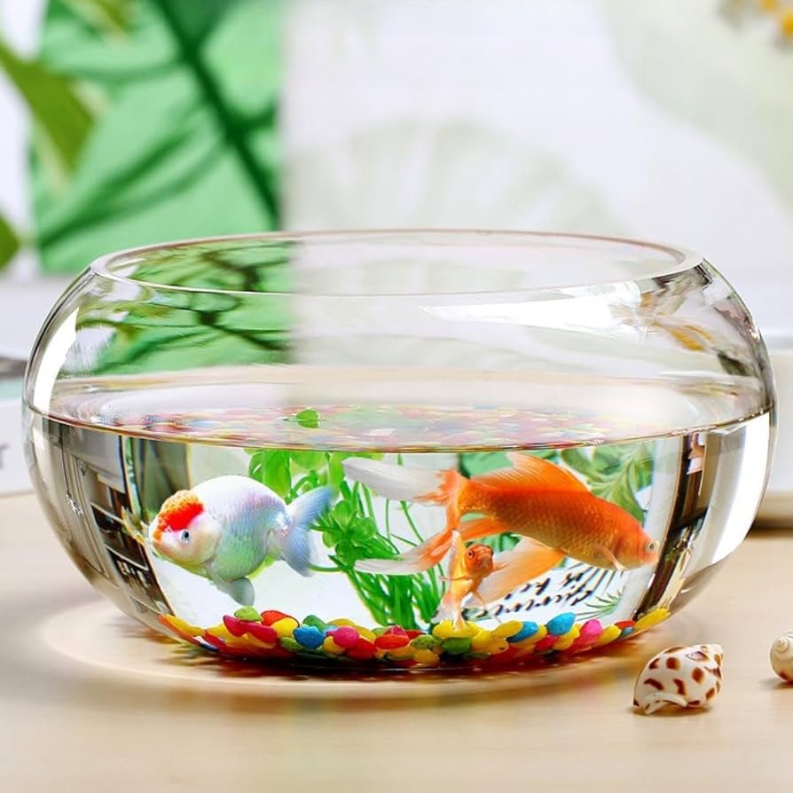 和 アジアン 青緑色 花模様 丸型 水槽 陶器 金魚 メダカ 和＆アジアン