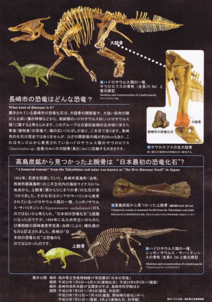 野母崎海岸で発見された長崎初の恐竜化石 | みさき道人 