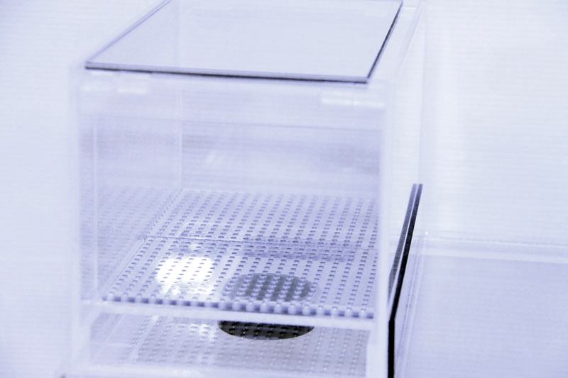 25×15×15ウールボックス - 熱帯魚のmishima