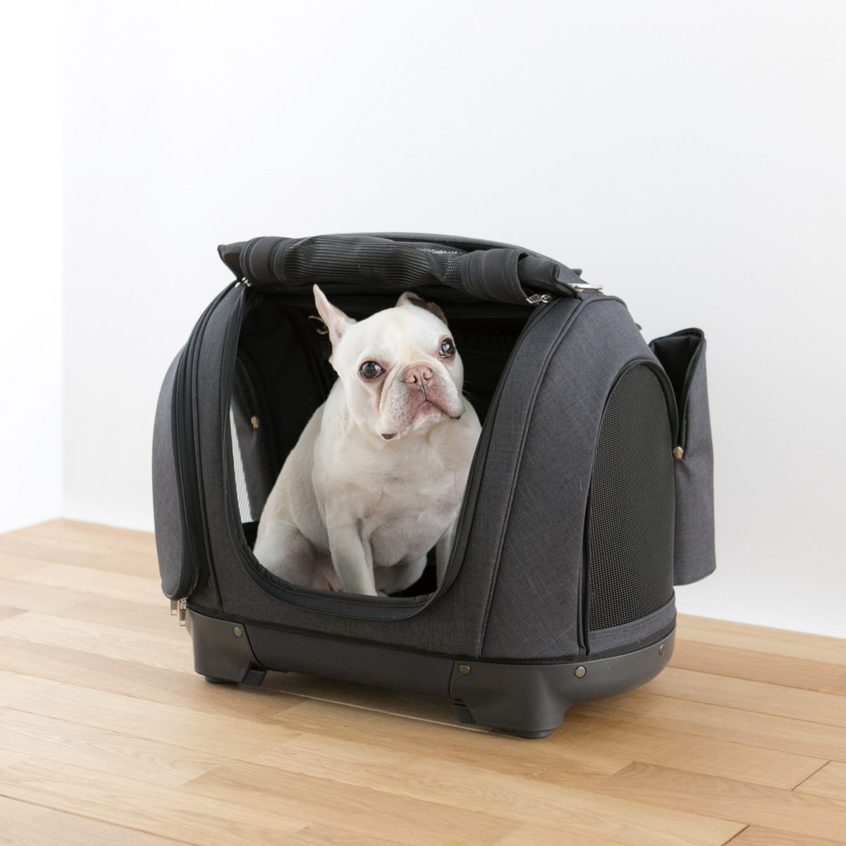 6通り使える!?」愛するペットといつでも一緒！ イマドキのペット用