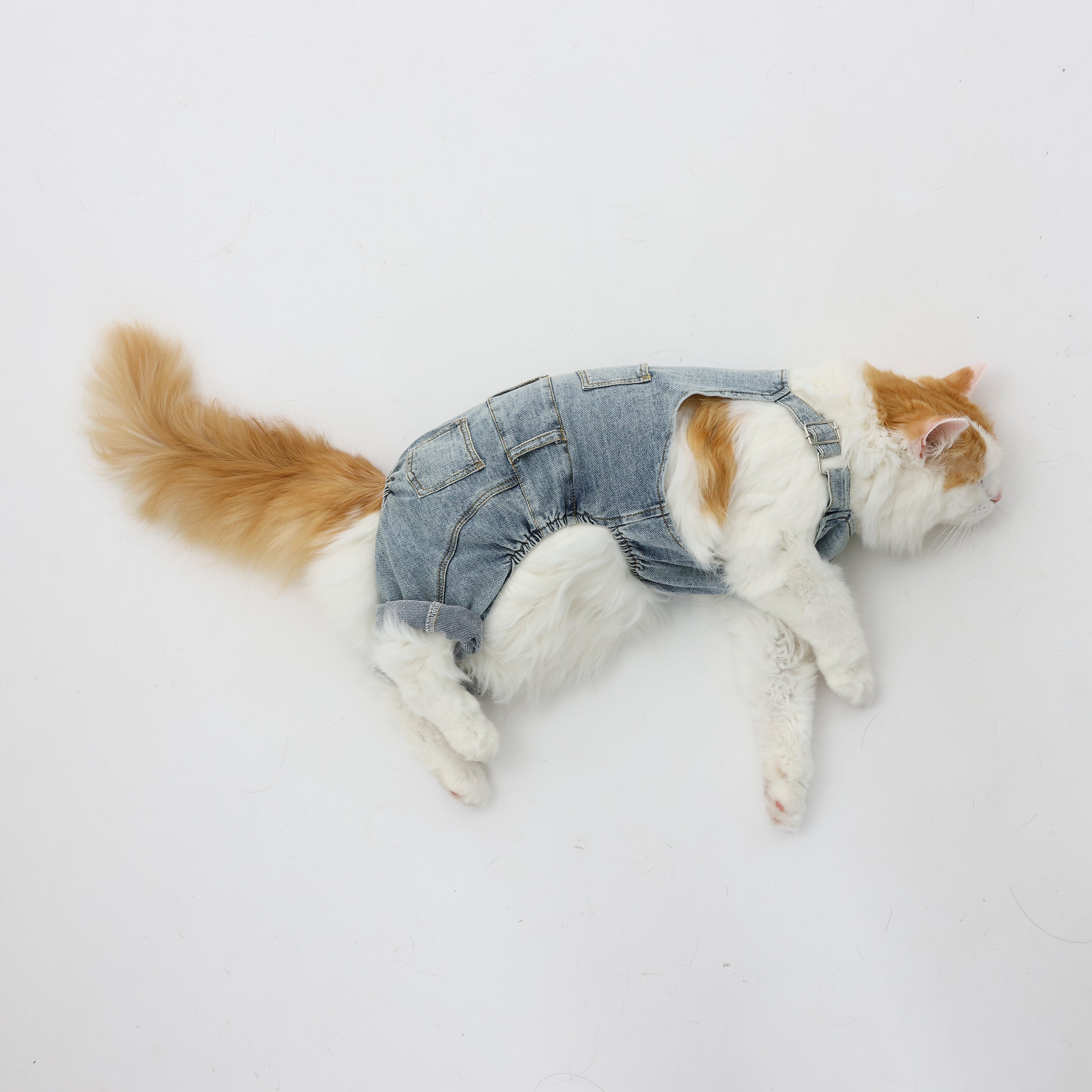 MOLUYUKのプレミアムスキンケア デニムオーバーオール for pets – MOLUYUKA