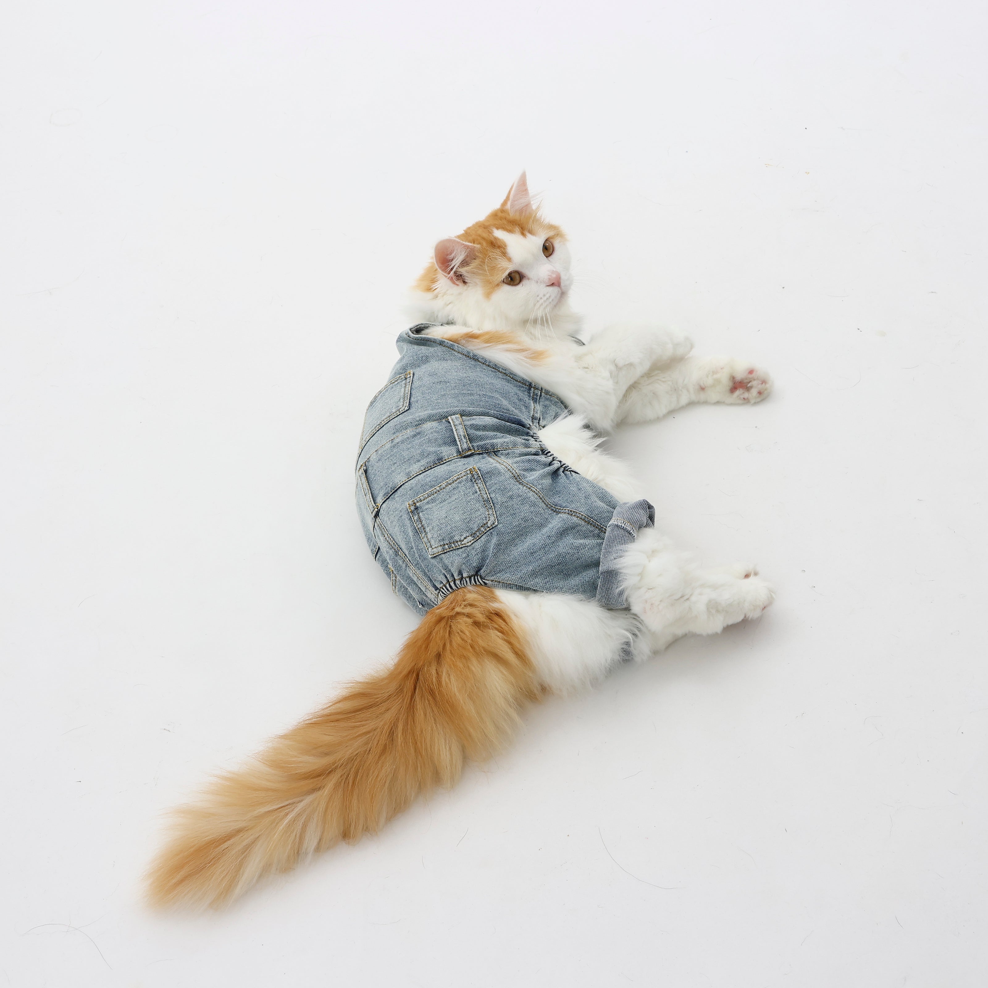 MOLUYUKのプレミアムスキンケア デニムオーバーオール for pets – MOLUYUKA