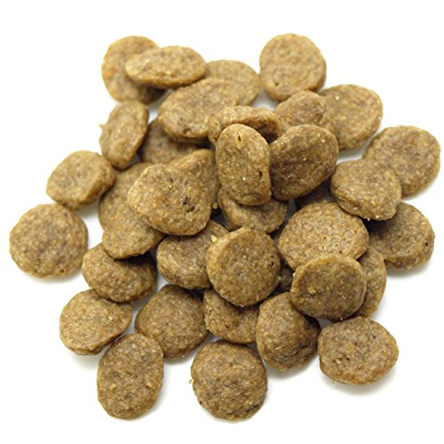 ブリーダーパック】スーパーゴールド チキンプラス 成犬用 15kg