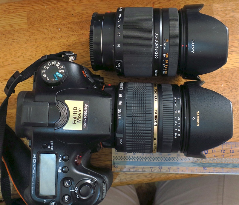 返品保証】ニコンFマウント❤18-250mm ❤️タムロン❤️高倍率望遠