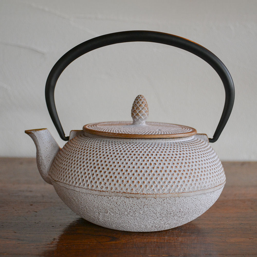 南部鉄器 急須 アラレ 0.6L 8種 ｜のレン神楽坂【公式通販】発酵