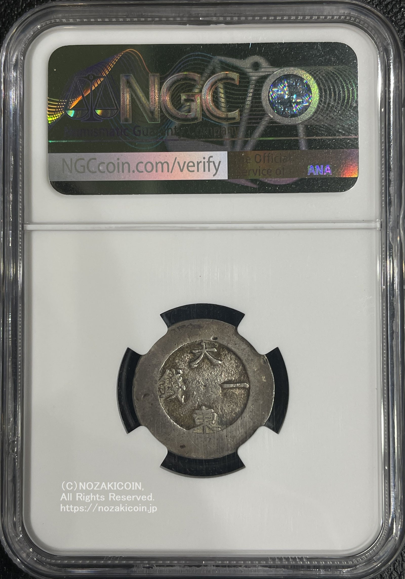 IMG_5636_1600x.jpg?v=1699085743